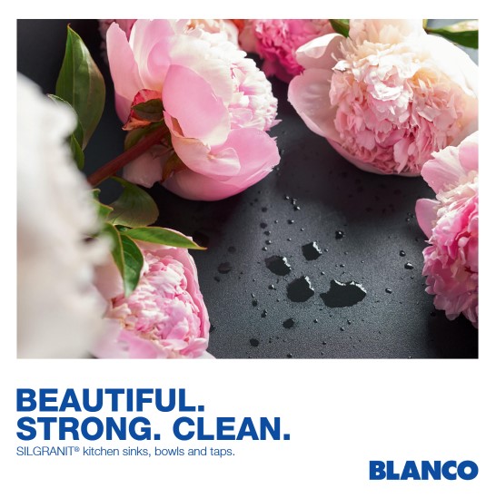 Blanco brochure cover
